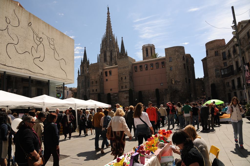 Diada de Sant Jordi. Parades a la plaça Nova