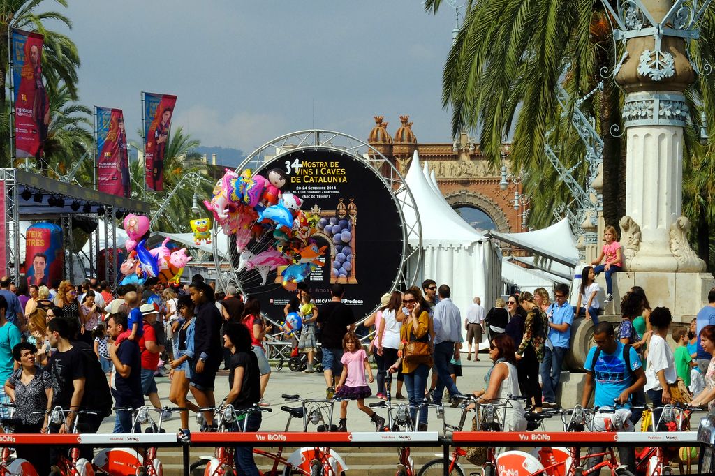Mercè 2014. Mostra de Vins i Caves. Estands