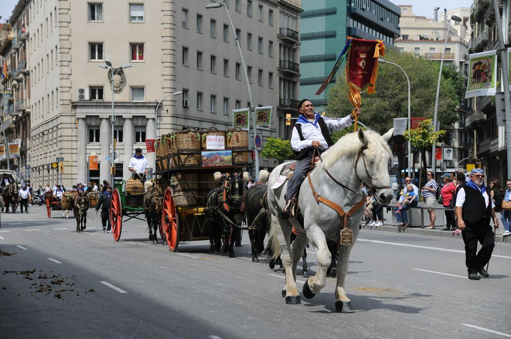 17a Trobada Nacional de Tres Tombs. Desfilada pel carrer de Pelai