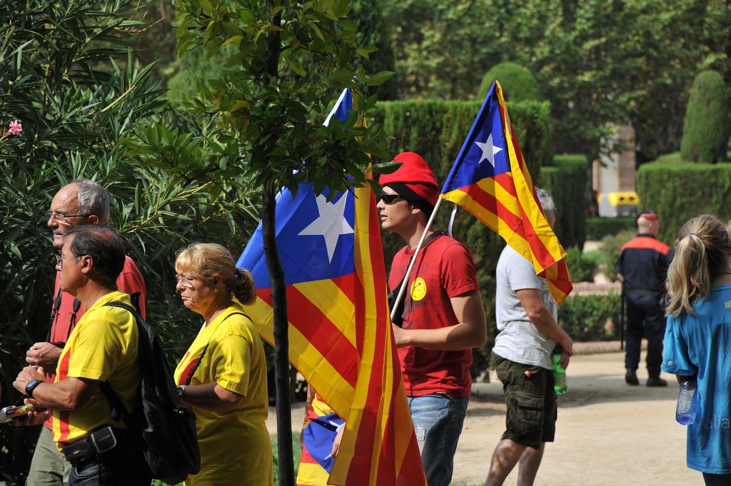 Diada Nacional de Catalunya 2012. Participants al parc de la Ciutadella