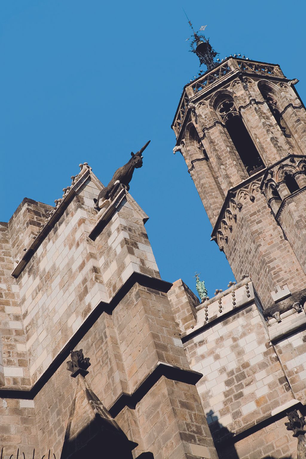 Catedral. Contraforts i campanar