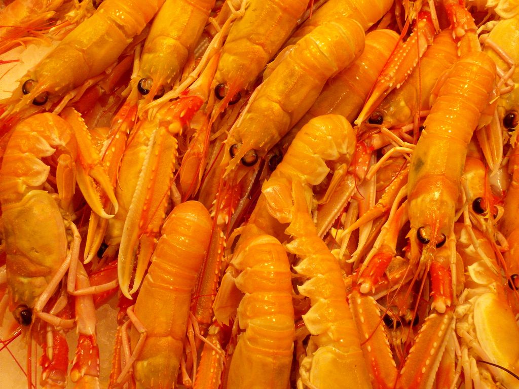 Parada de marisc al Mercat de la Boqueria