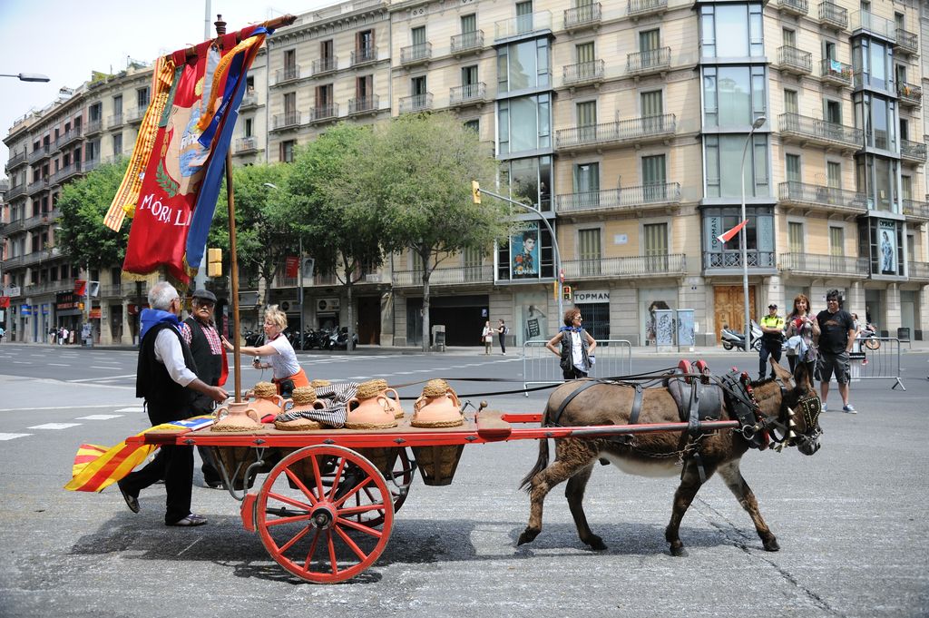 17a Trobada Nacional de Tres Tombs. Desfilada pel carrer de Pelai