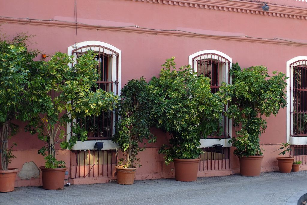 Casa Mató. Pati d'entrada