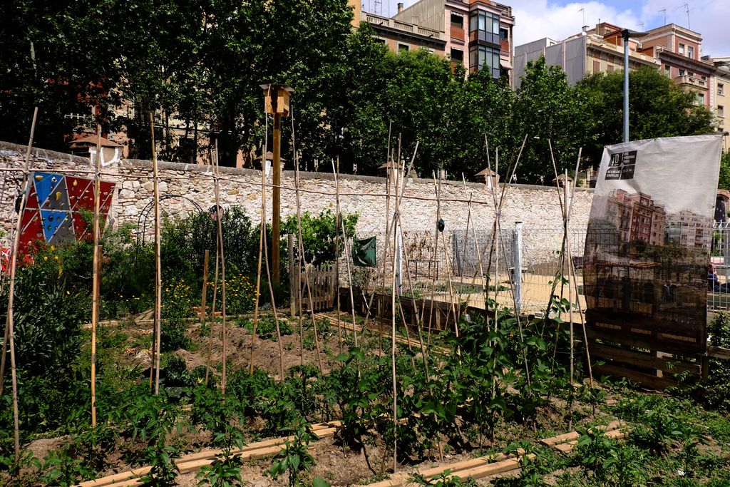 Jardins d'Emma de Barcelona. Hort urbà