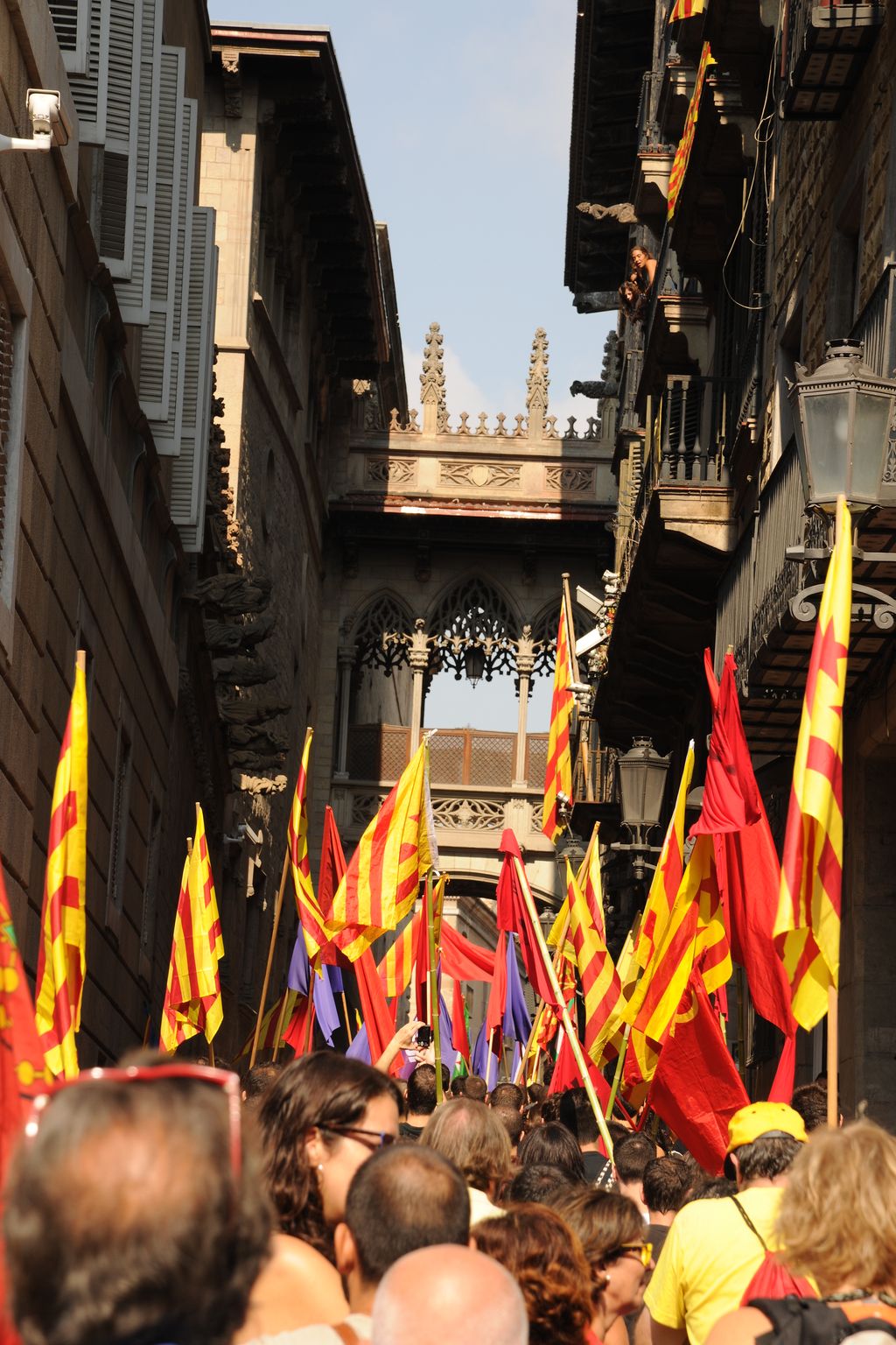 Diada de Catalunya 2014. Manifestants amb senyeres al carrer del Bisbe