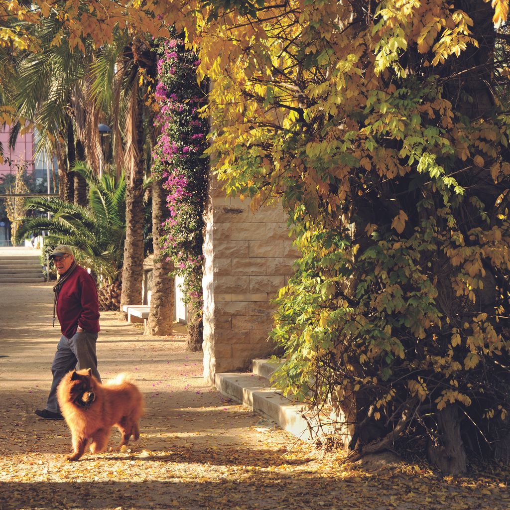 Parc de Joan Miró. Home passejant un gos