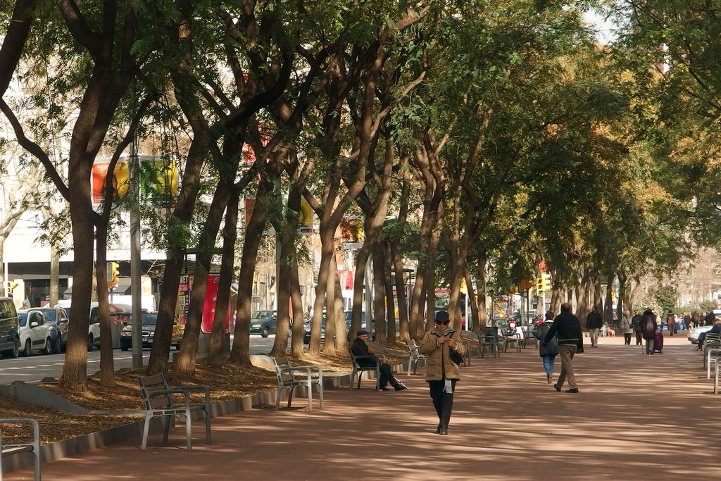 Avinguda de Josep Tarradellas. Passeig central