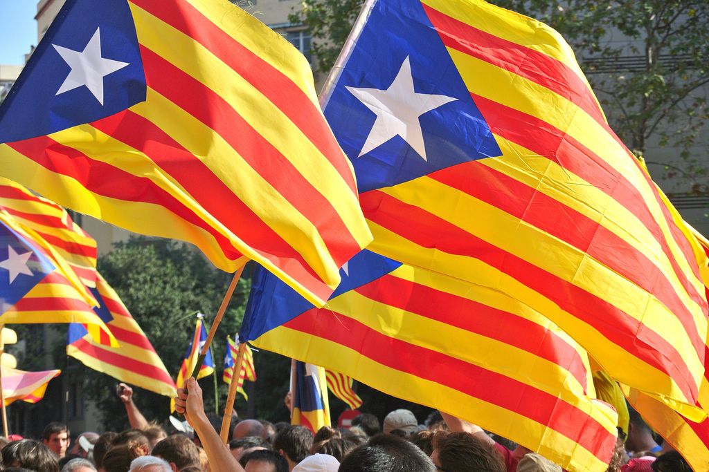 Diada 2014. Diagonal-Marina