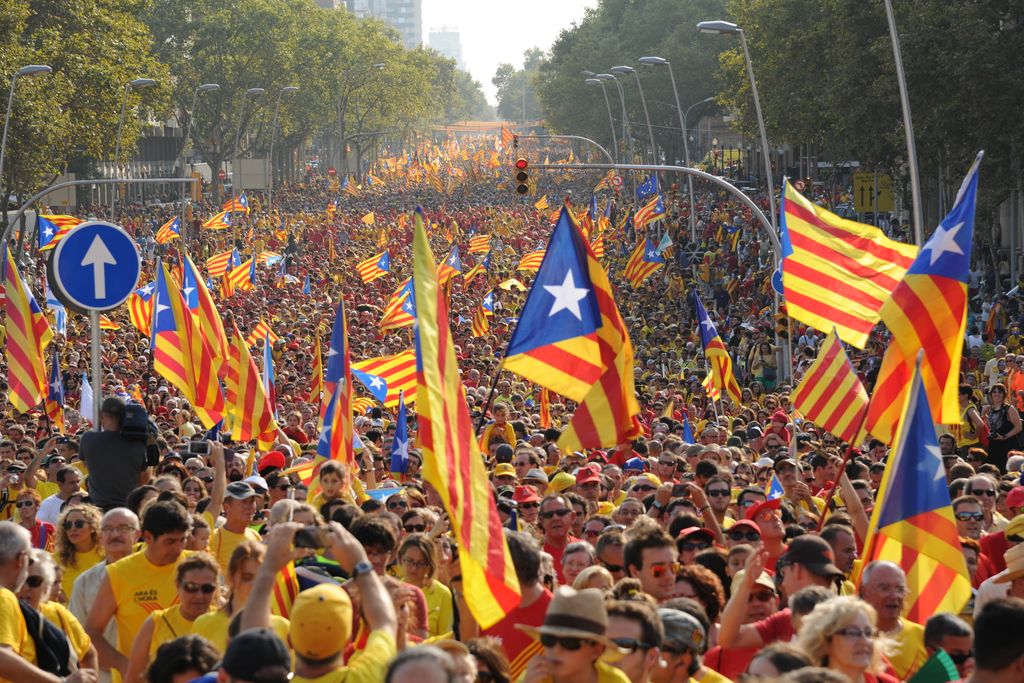 Diada de Catalunya 2014. Manifestació independentista 