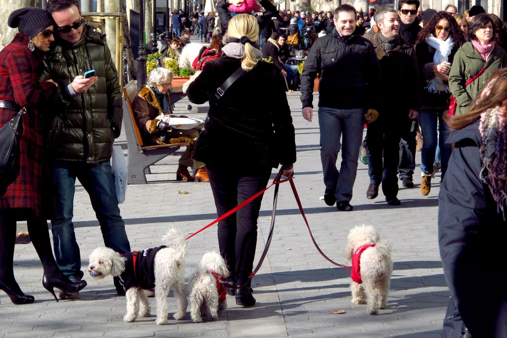 Persones al passeig de Gràcia