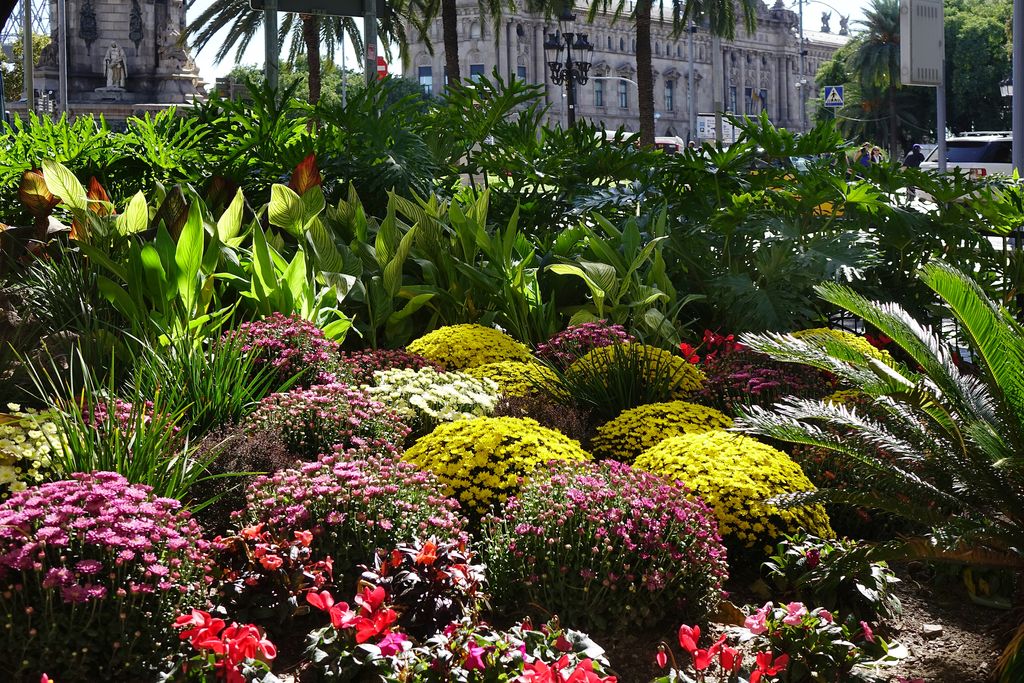 Festa del Roser. Portal de la Pau. Parterre amb plantes