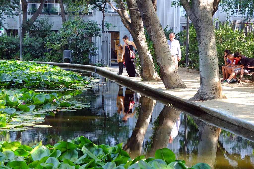 Turó Park. Llac artificial amb nenúfars