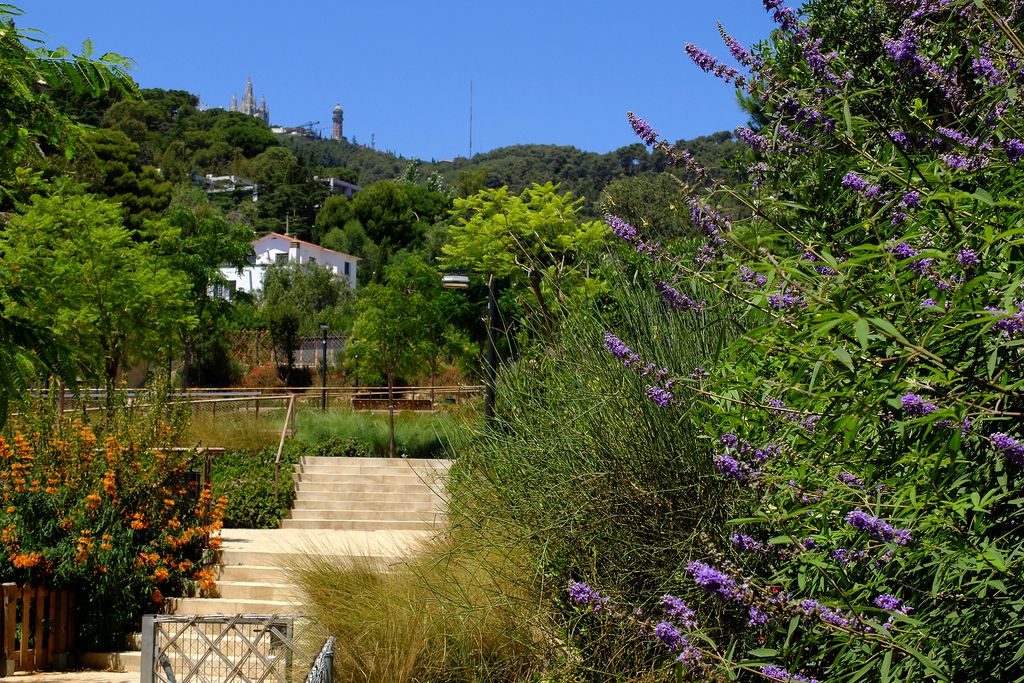 Parc del Torrent Maduixer. Escales i parterres de flors