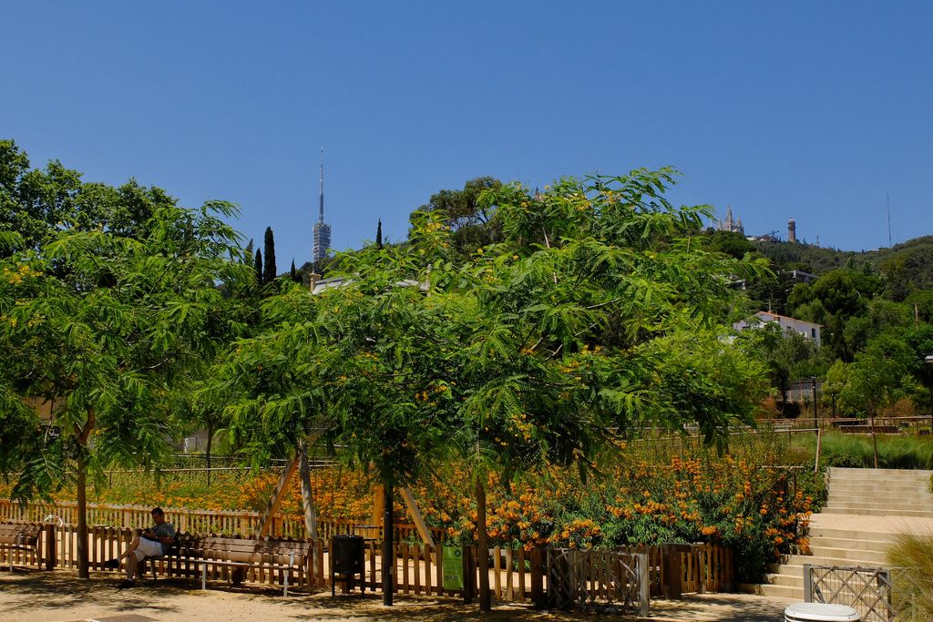 Parc del Torrent Maduixer. Bancs i zona de jocs