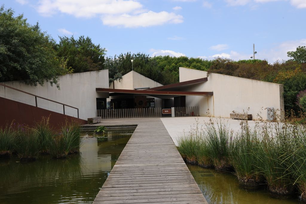 Jardí Botànic. Llac artificial i passarel·la i edifici al fons