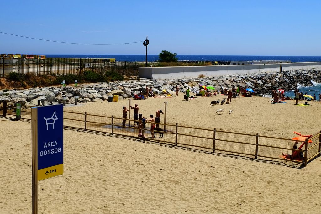 Platja de Llevant amb gossos. Senyalització i delimitació de l'àrea