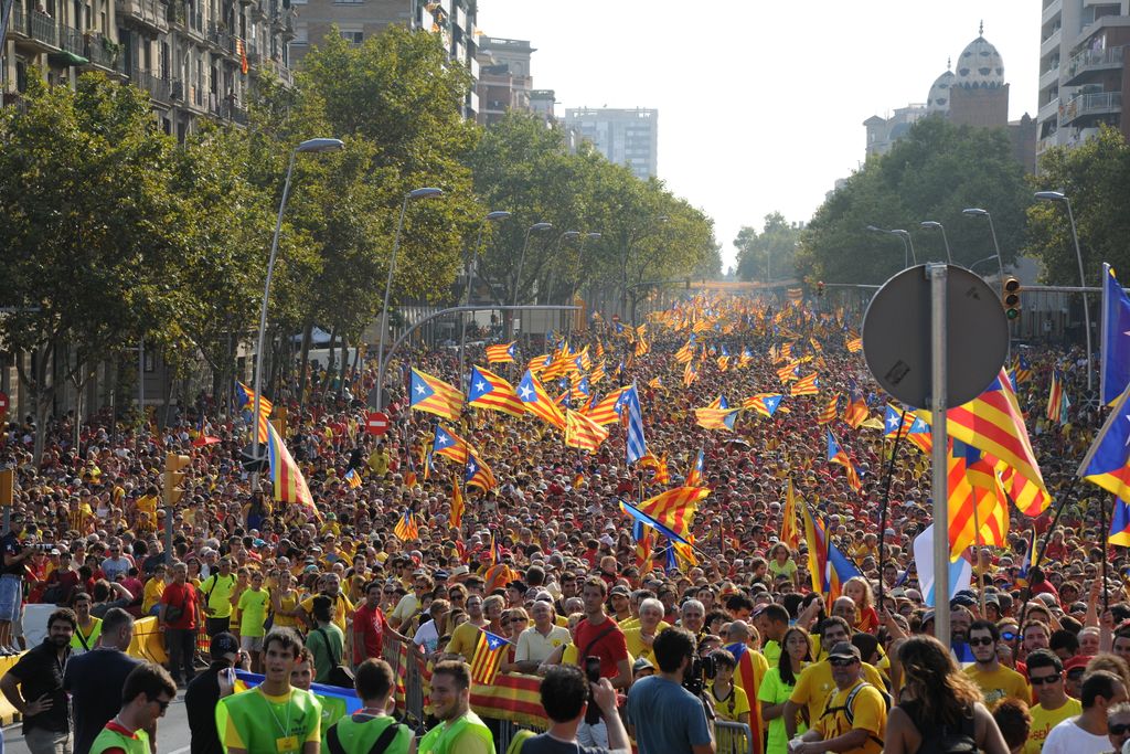 Diada de Catalunya 2014. Manifestació independentista 