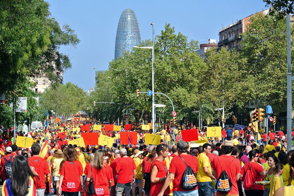 Diada 2014. Diagonal-Marina