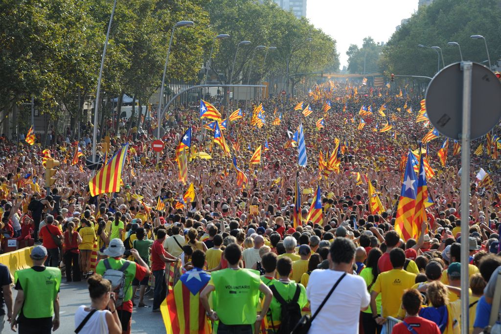 Diada de Catalunya 2014. Manifestació independentista 