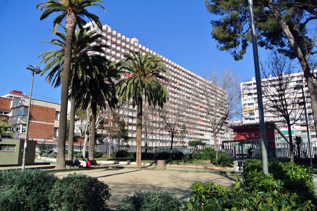 Jardins de les Infantes. Zona amb palmeres