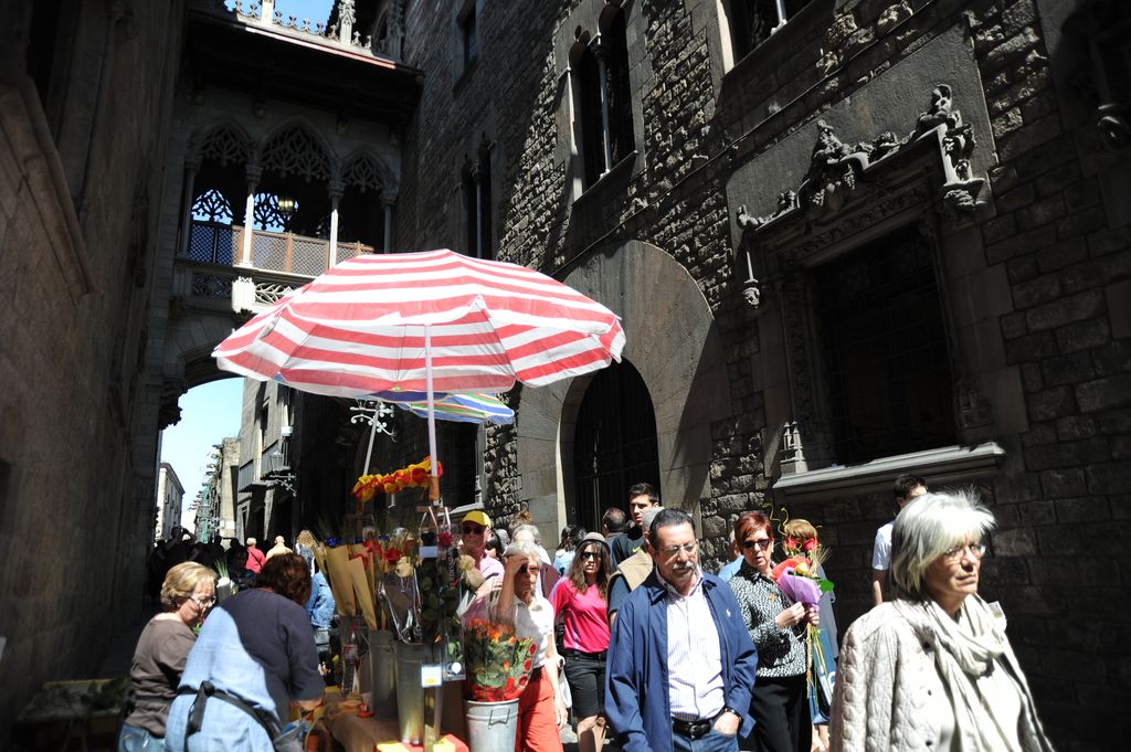 Diada de Sant Jordi 2013. Visitants i parades de roses al carrer del Bisbe