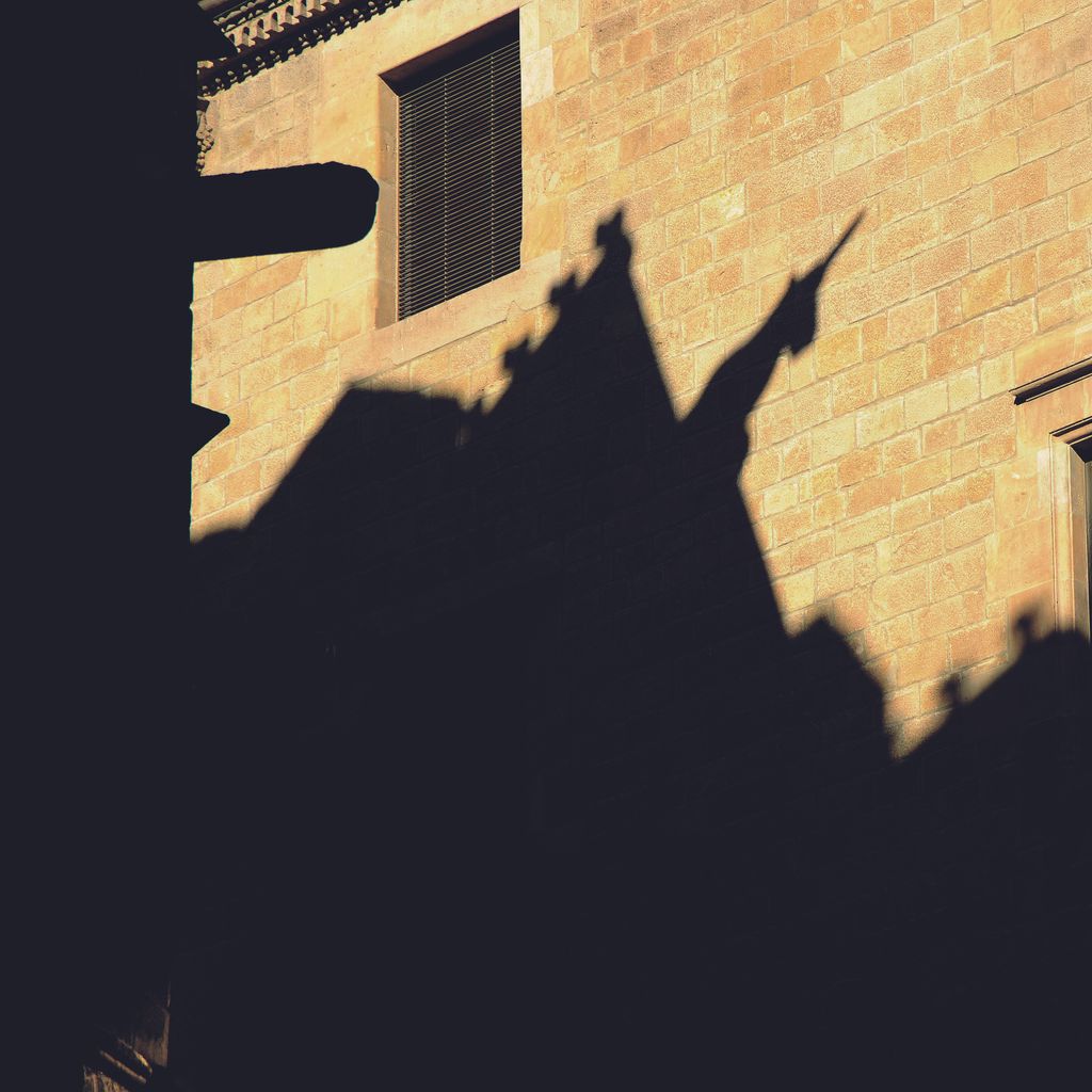 Ombra d'una de les gàrgoles de la Catedral de Barcelona