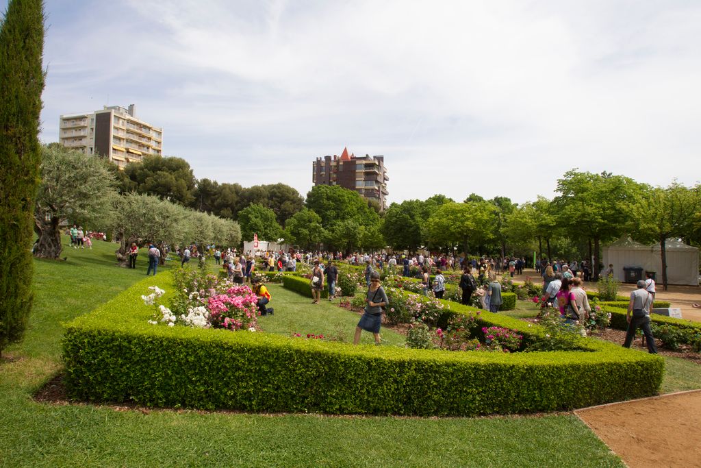 Concurs de roses. Parterre amb roses del parc de Cervantes