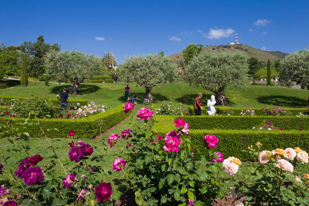 Parc de Cervantes. Rosers i escultura Serenitat (escultura), d'Eulàlia Fàbregas de Sentmenat