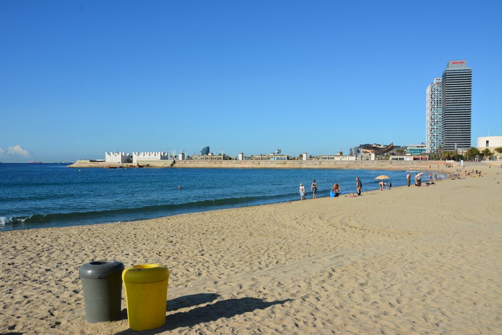 Papereres a les platges