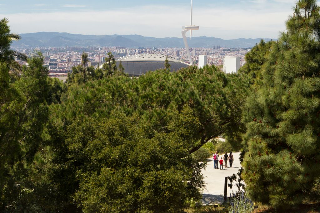 Jardí Botànic. Vistes de l'Anella Olímpica