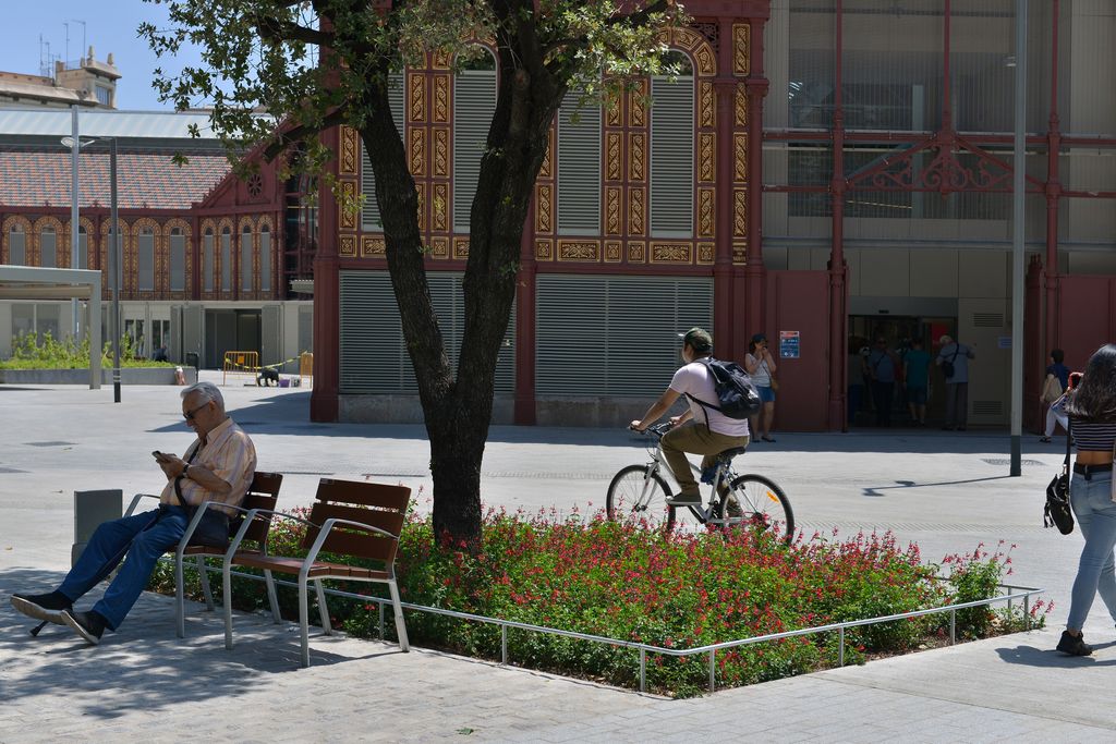 Zona pacificada de la superilla de Sant Antoni al voltant del mercat i el carrer de Tamarit, amb seients o bancs individuals i arbres amb grans escocells de flors. Els veïns caminen, circulen en bicicleta o seuen tranquil·lament a llegir