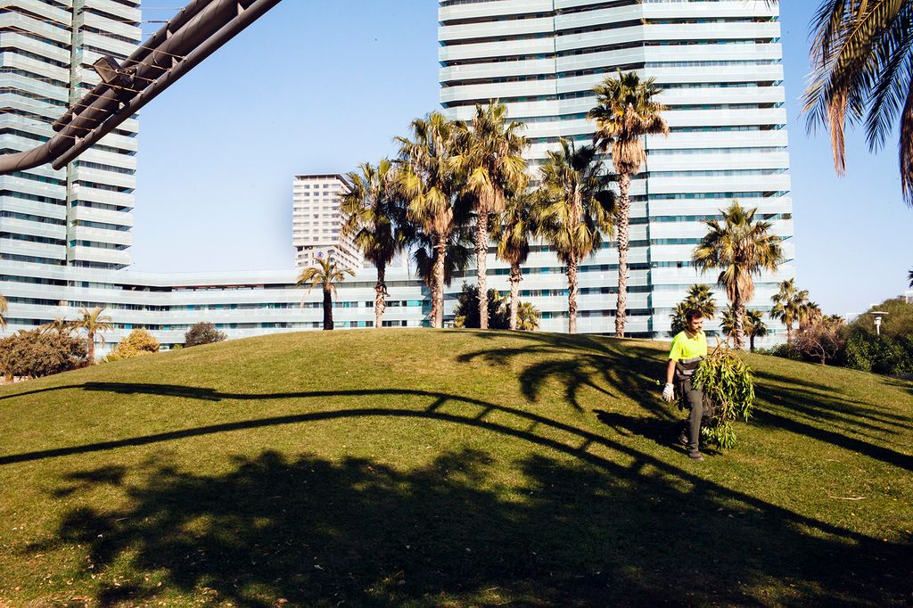 Treballador de Parcs i Jardins al Parc de Diagonal Mar
