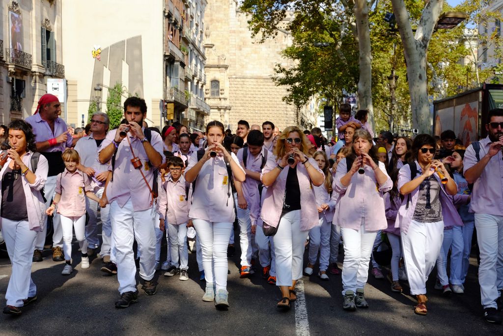 Cercavila de la Mercè 2017