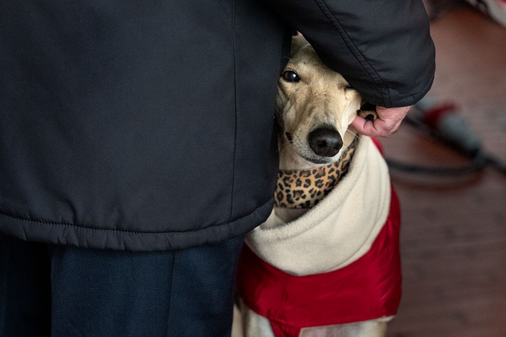 Un perro con su dueño durante la entrega de llaves de viviendas para personas mayores en las Casernes de Sant Andreu