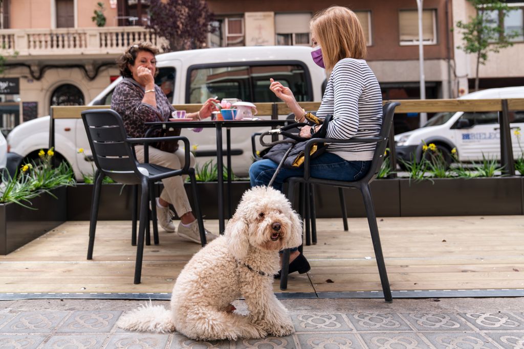 Dues dones prenen un cafè acompanyades d’un gos en una cafeteria amb una terrassa instal·lada que forma part dels nous prototips