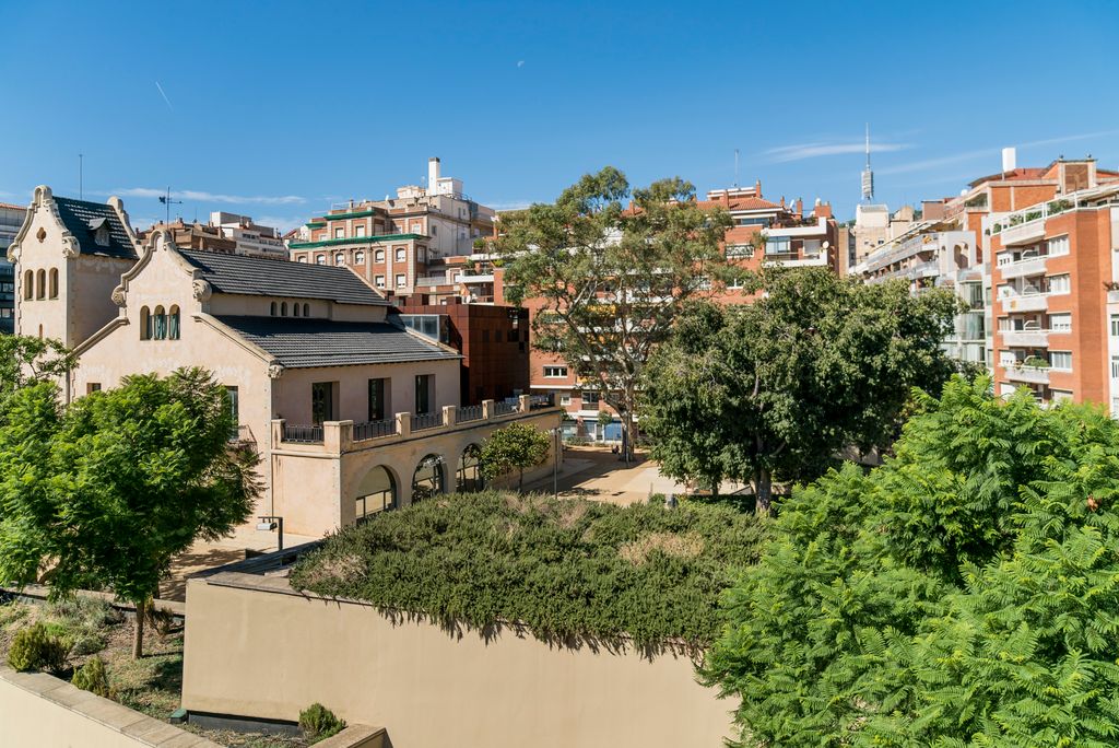 Coberta verda de la biblioteca