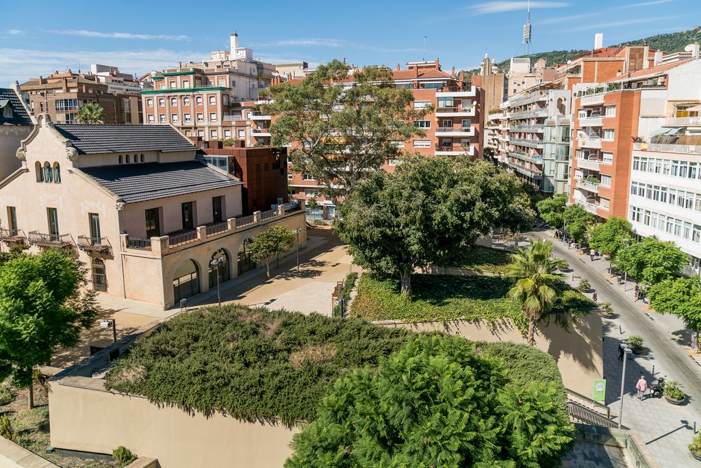 Coberta verda de la biblioteca