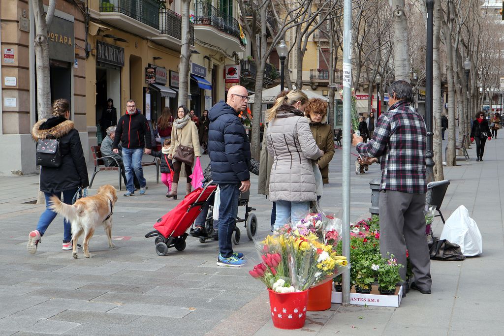 Carrer de Rogent. Flors