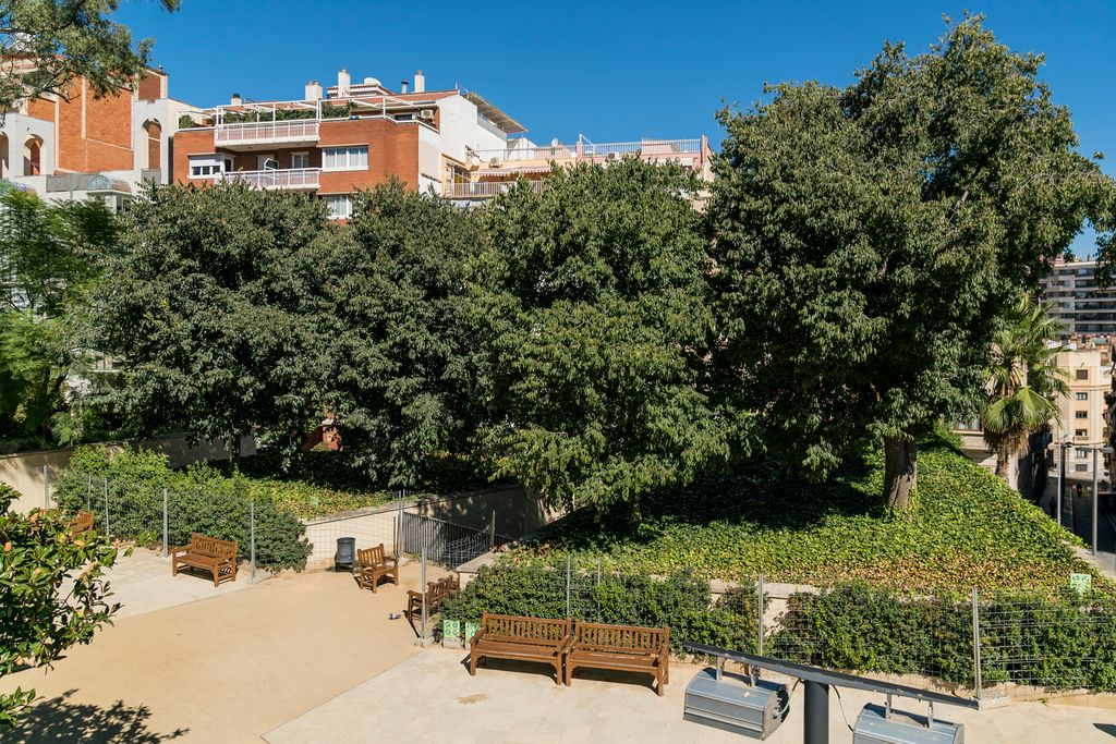 Coberta verda de la biblioteca