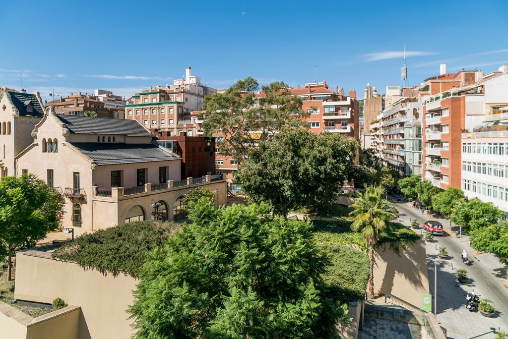 Coberta verda de la biblioteca