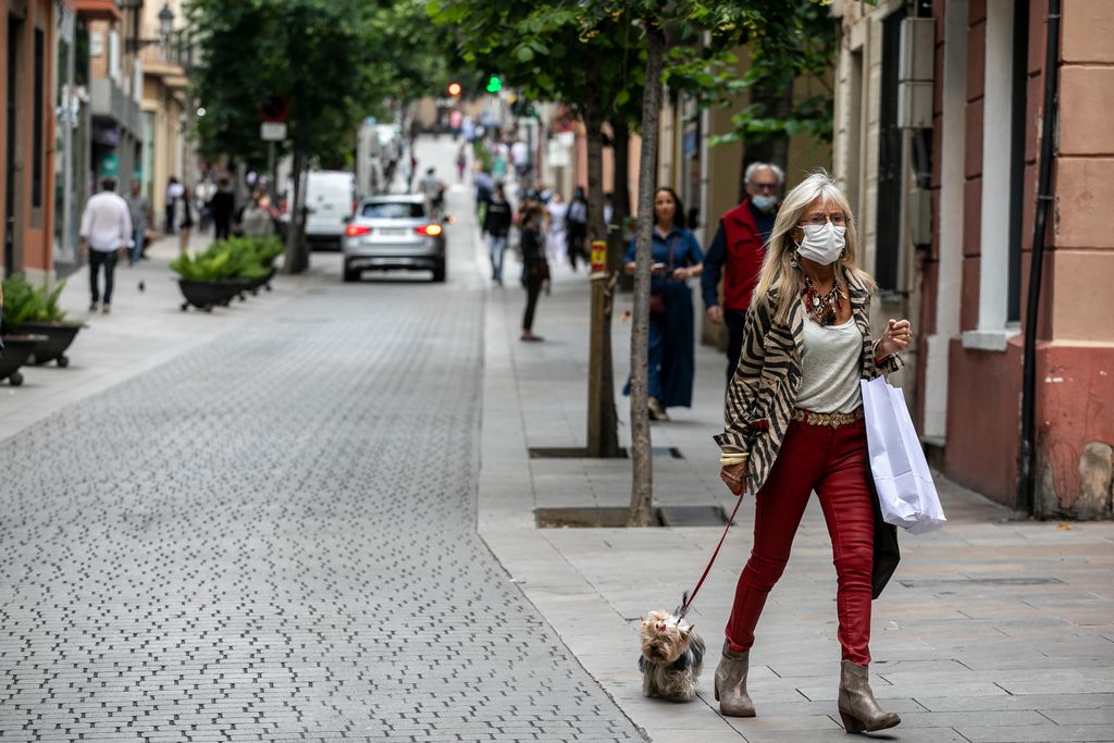 Una dona passeja el gos pel carrer Major de Sarrià