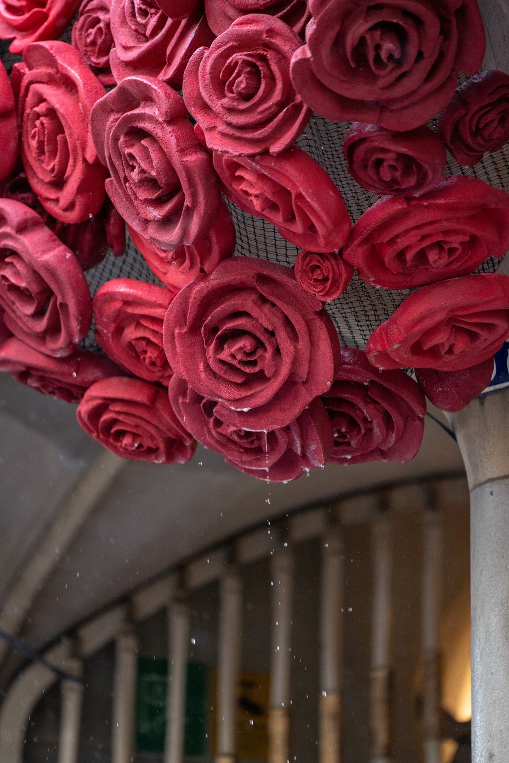 Aigua de la pluja degotant de les roses decoratives de la façana de la Casa Batlló guarnida amb motiu de Sant Jordi