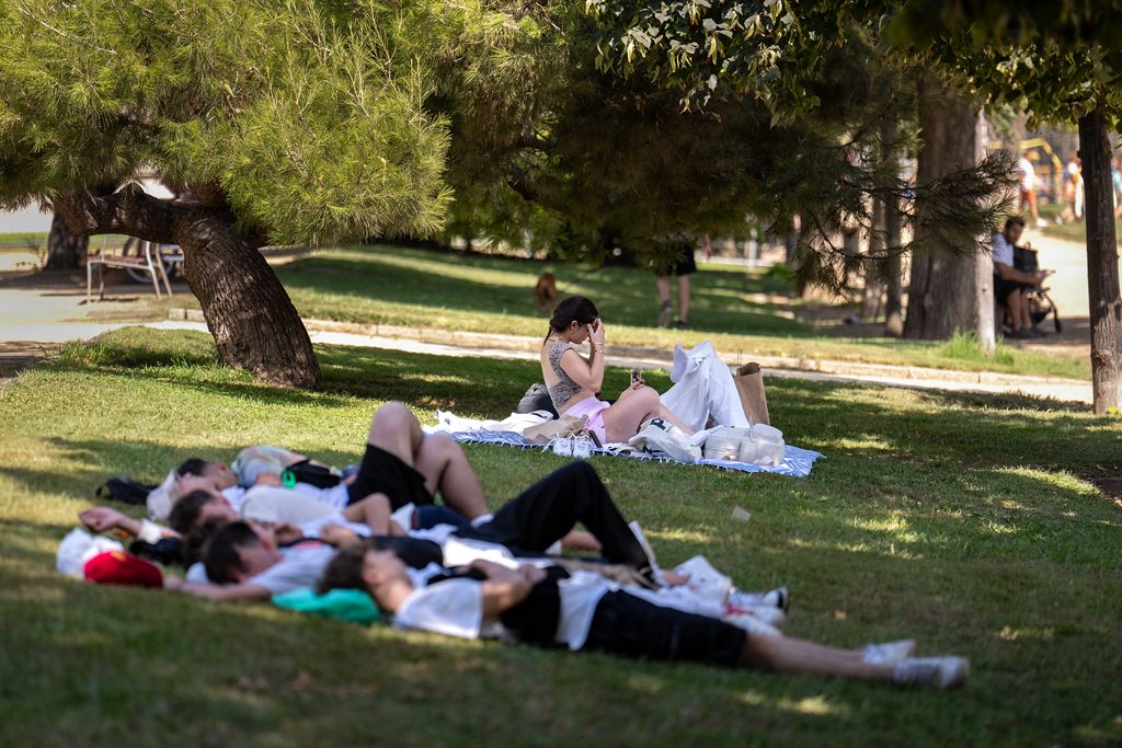 Ambient a la gespa del parc de la Ciutadella. Un grup de gent descansa a l'ombra dels arbres