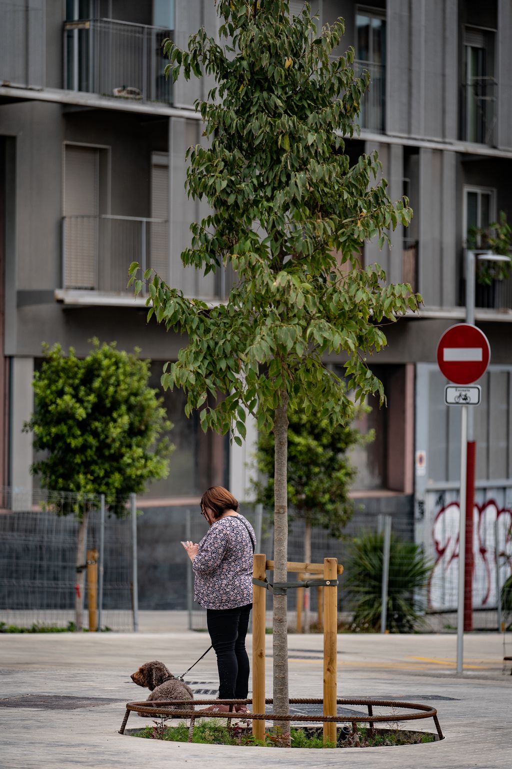Una dona para a consultar el mòbil mentre passeja el gos pel nou eix verd dels carrers dels Almogàvers i Zamora