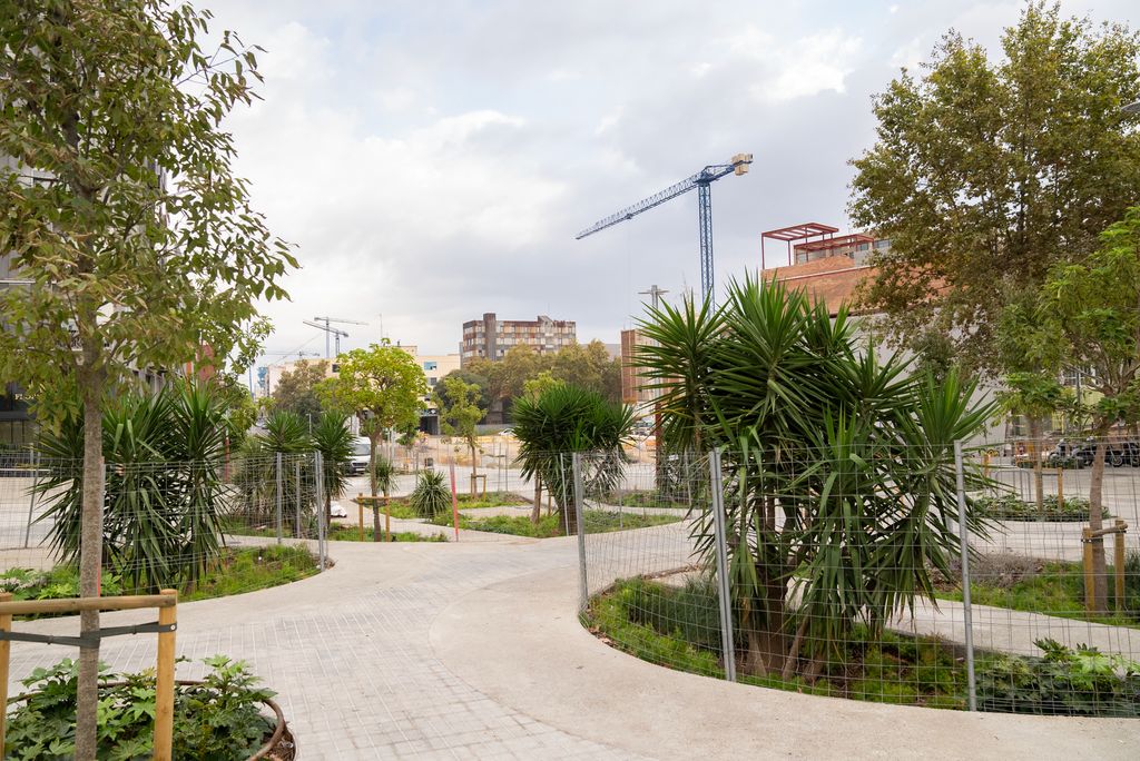 Parterres i escocells de la plaça de l'eix verd de Zamora amb Almogàvers
