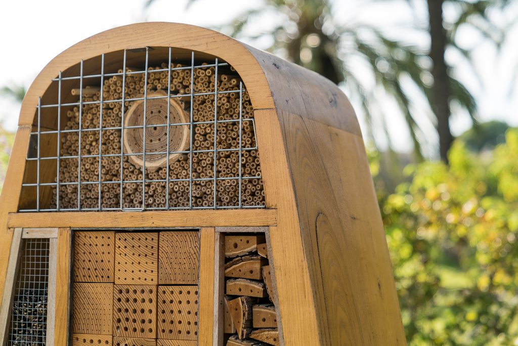 Hotel de vespes i abelles