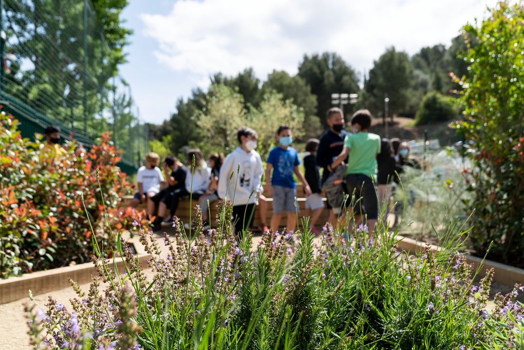 Uns joves conversen al pati de l’escola en una zona amb grans jardineres i superfície de sorra