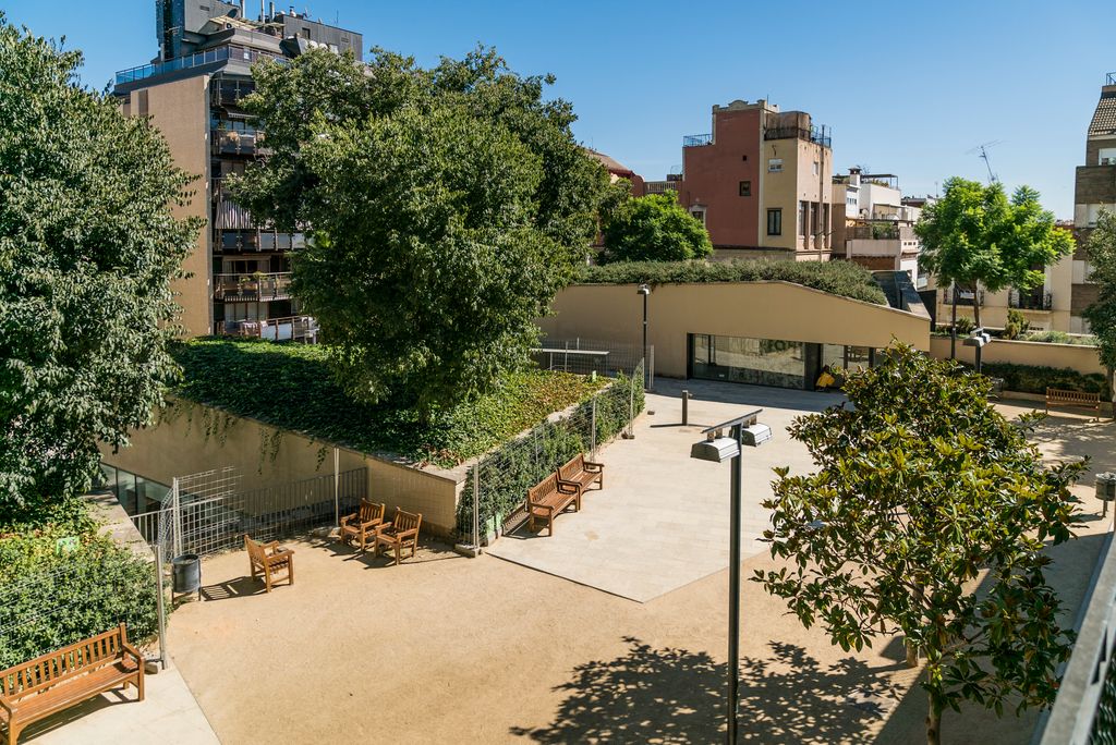 Coberta verda de la biblioteca