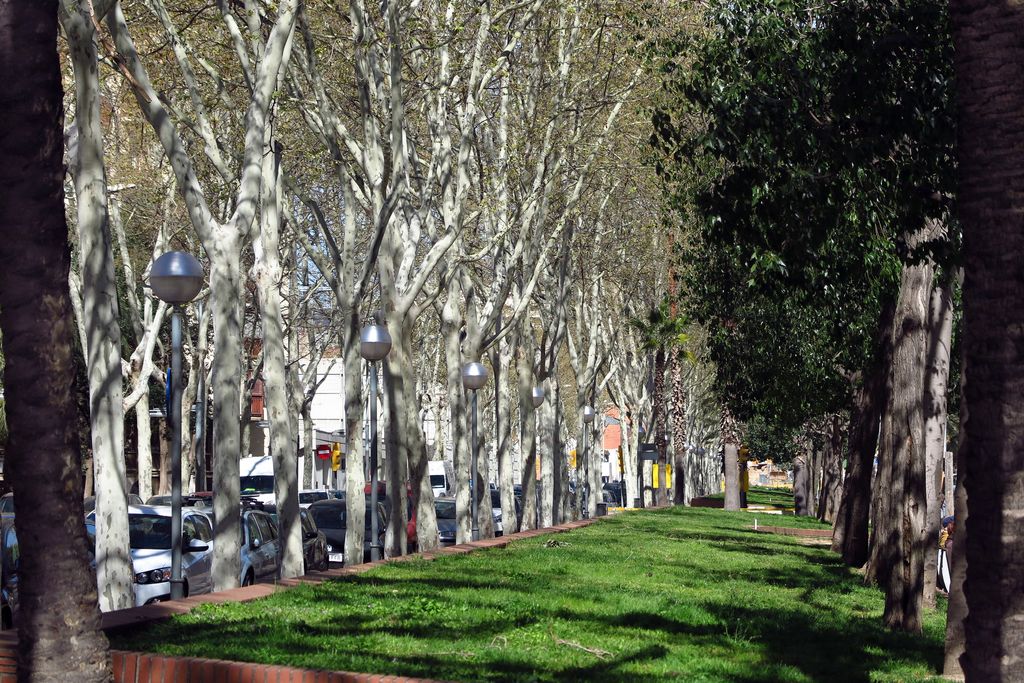 Rambla Prim tram entre Binèfar i rambla de Guipúscoa. Zona enjardinada